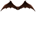 A bat.png