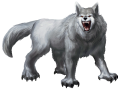 A white wolf.png